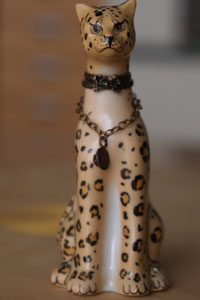 Cheetah