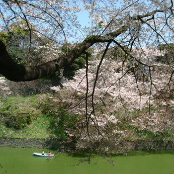 2004