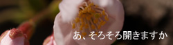 ۂ̓rŌ