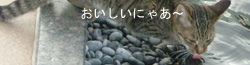 ۂ̓rŌ
