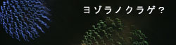 さんぽの途中で見つけたもの
