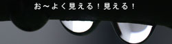 さんぽの途中で見つけたもの