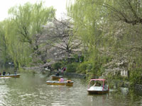 石神井公園