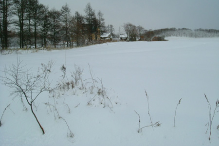 winter