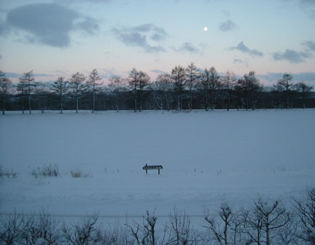 winter