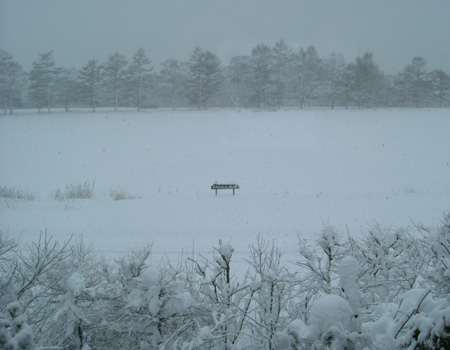 winter