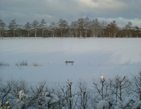 winter