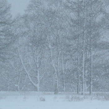 winter