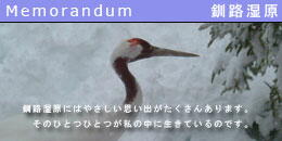 memorandum